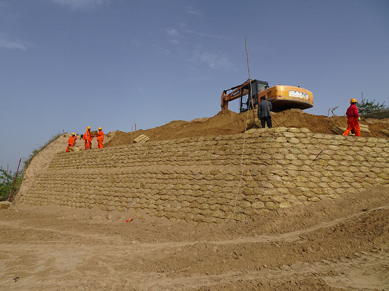 护坡生态草袋