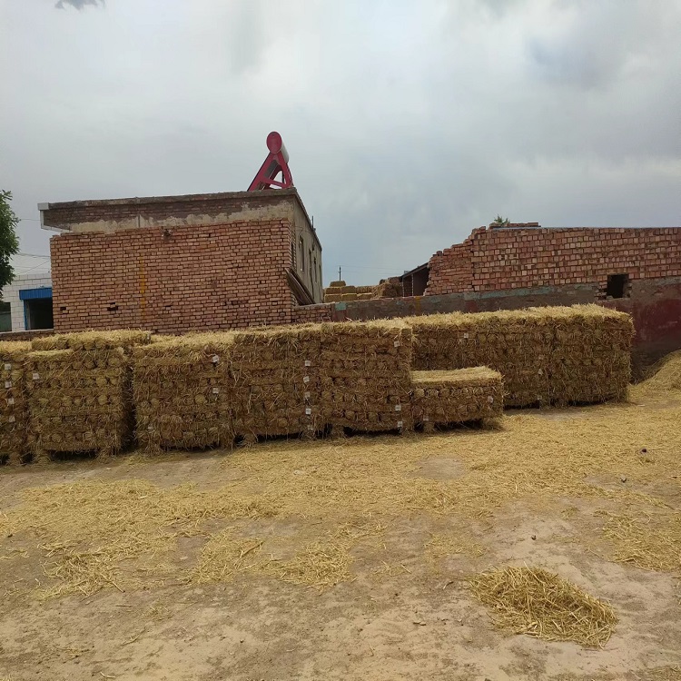 使用条形草支垫的效果有哪些？？？