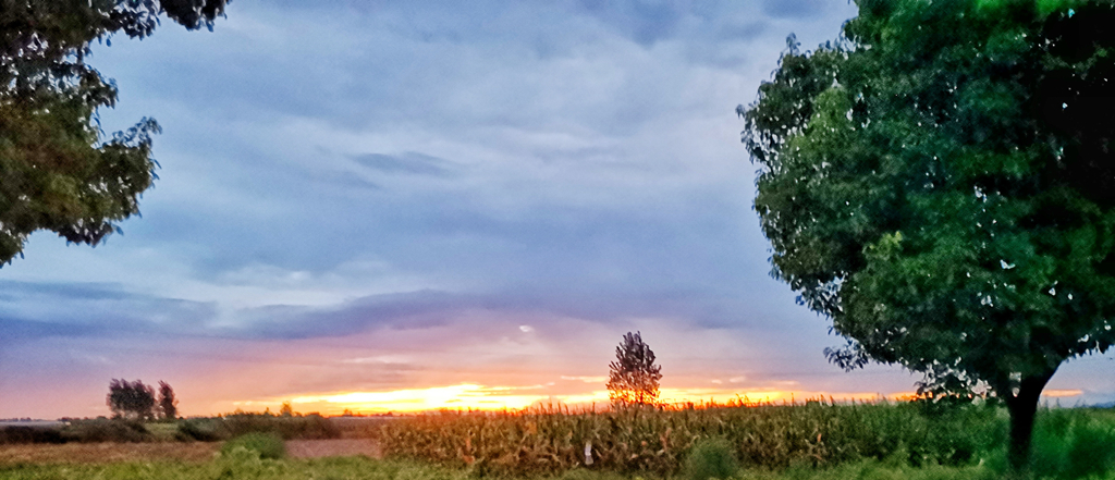 金狮贵宾会·宾至如归尊贵显赫(中国)官方网站