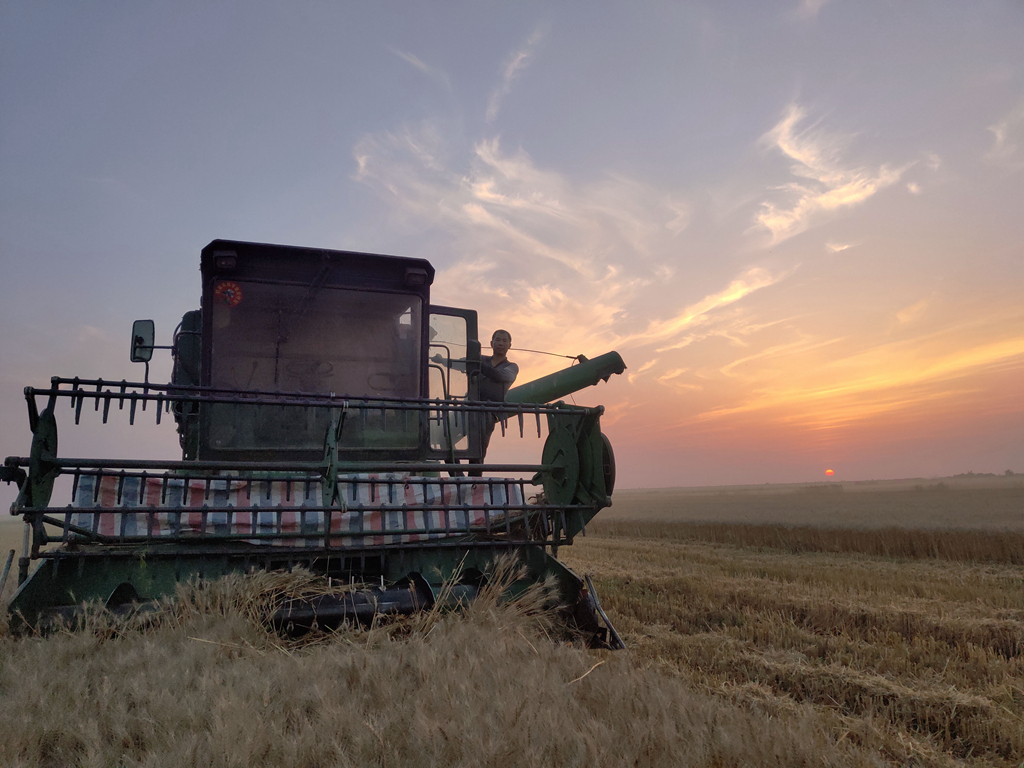 金狮贵宾会·宾至如归尊贵显赫(中国)官方网站