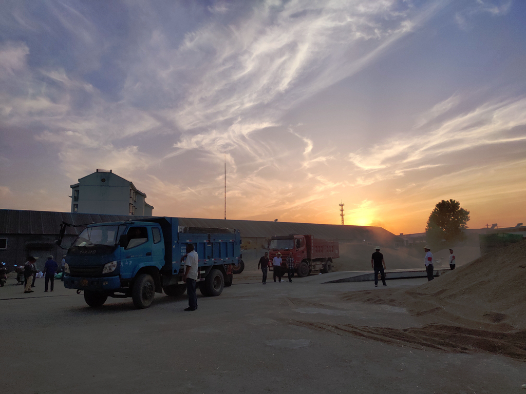 金狮贵宾会·宾至如归尊贵显赫(中国)官方网站