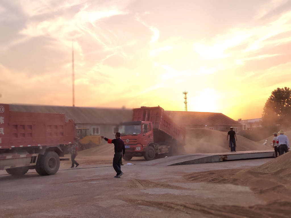 金狮贵宾会·宾至如归尊贵显赫(中国)官方网站