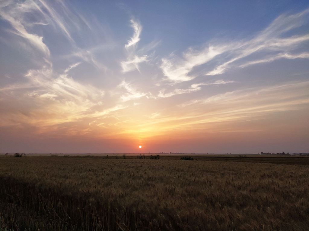 金狮贵宾会·宾至如归尊贵显赫(中国)官方网站
