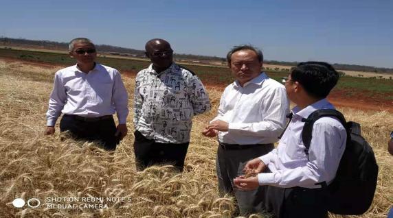 金狮贵宾会·宾至如归尊贵显赫(中国)官方网站