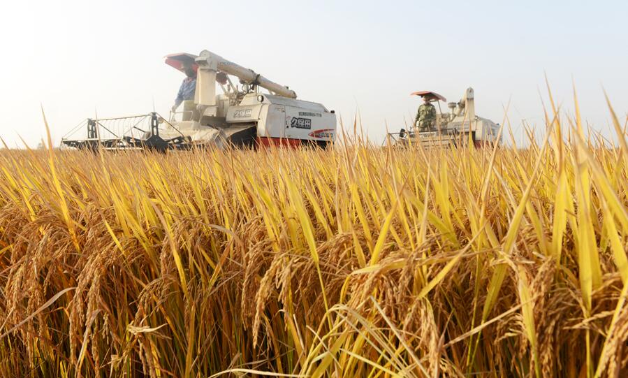 金狮贵宾会·宾至如归尊贵显赫(中国)官方网站