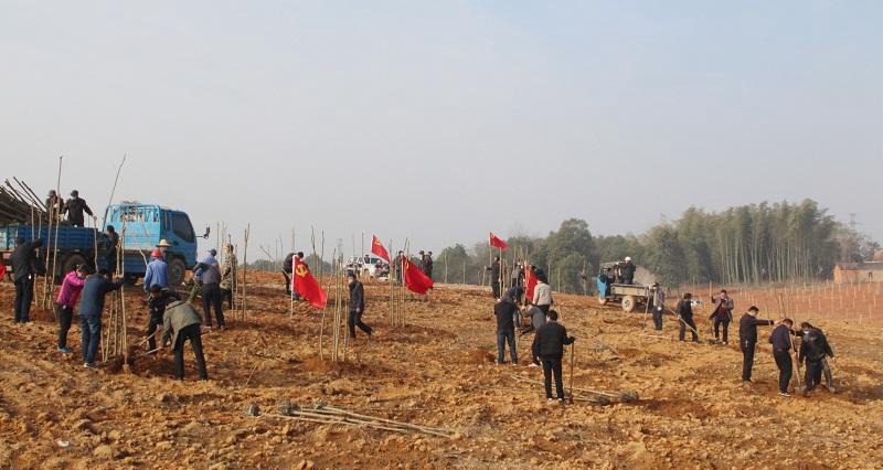 金狮贵宾会·宾至如归尊贵显赫(中国)官方网站