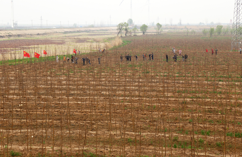 金狮贵宾会·宾至如归尊贵显赫(中国)官方网站