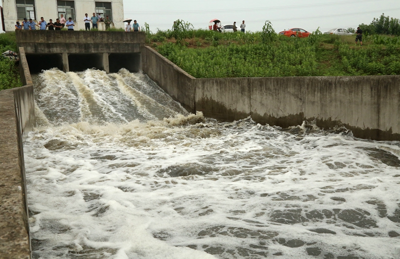 金狮贵宾会·宾至如归尊贵显赫(中国)官方网站