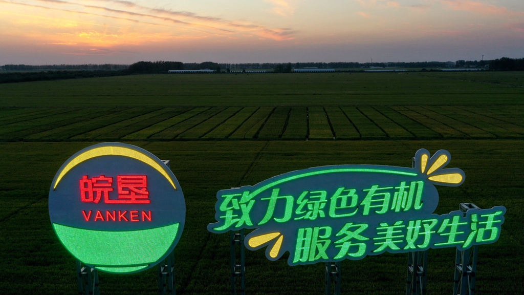 金狮贵宾会·宾至如归尊贵显赫(中国)官方网站