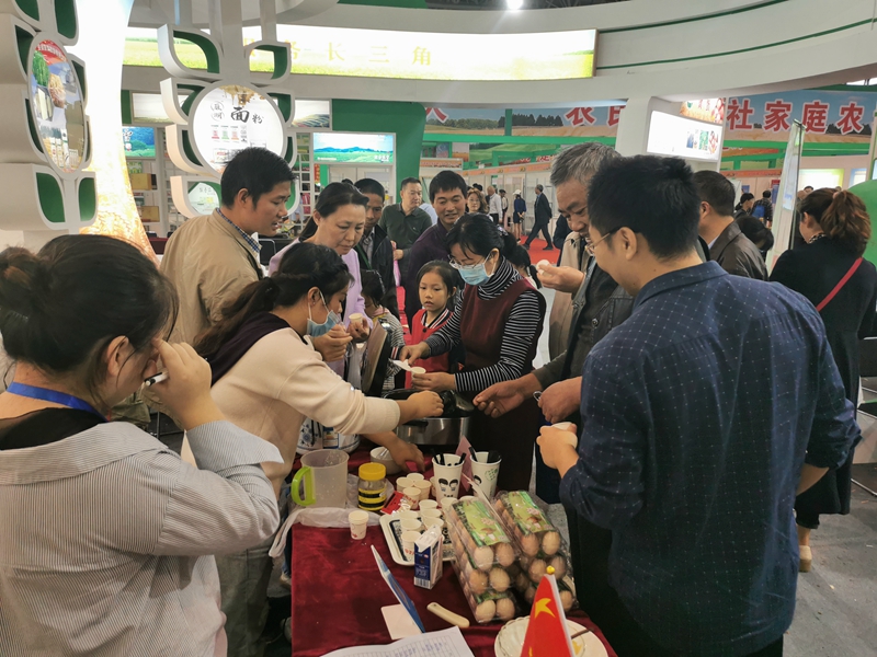 金狮贵宾会·宾至如归尊贵显赫(中国)官方网站