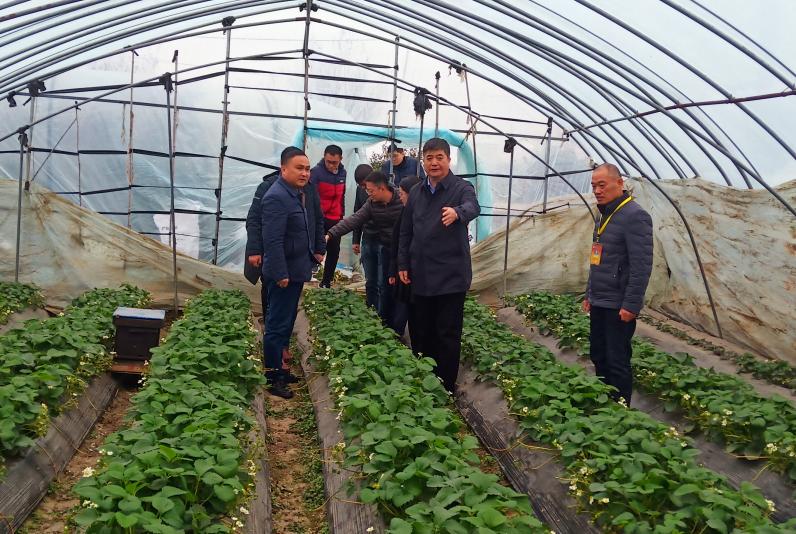 金狮贵宾会·宾至如归尊贵显赫(中国)官方网站