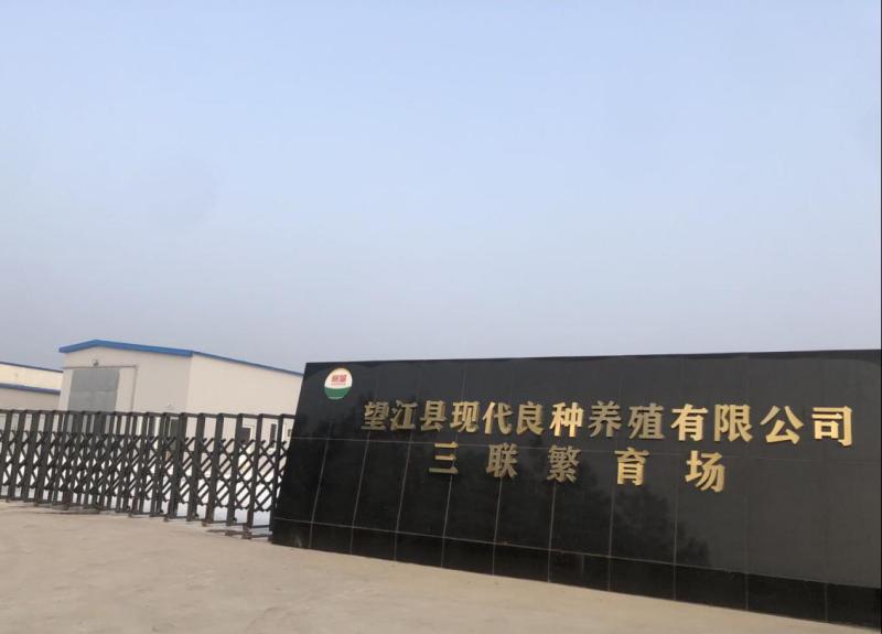 金狮贵宾会·宾至如归尊贵显赫(中国)官方网站