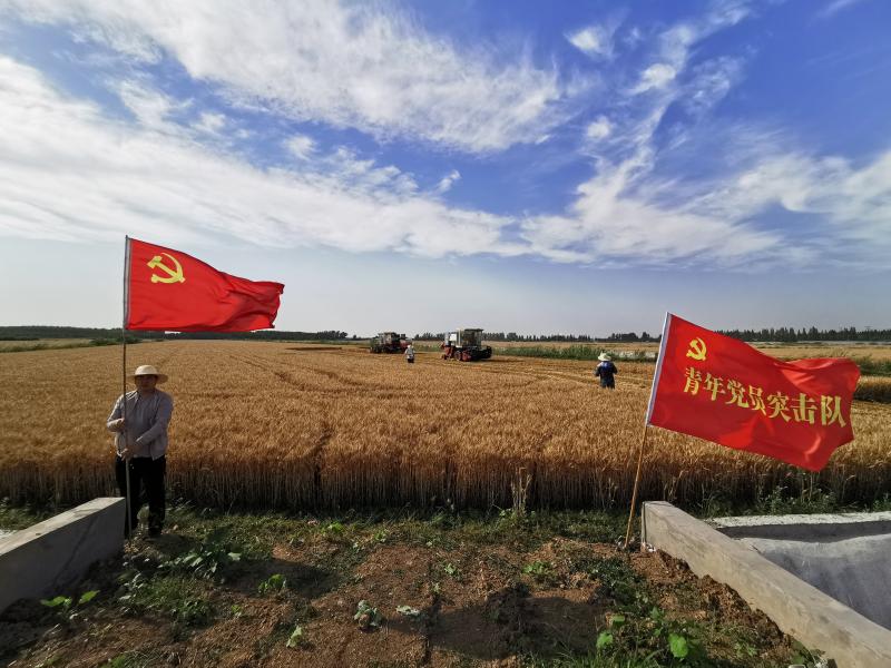 金狮贵宾会·宾至如归尊贵显赫(中国)官方网站