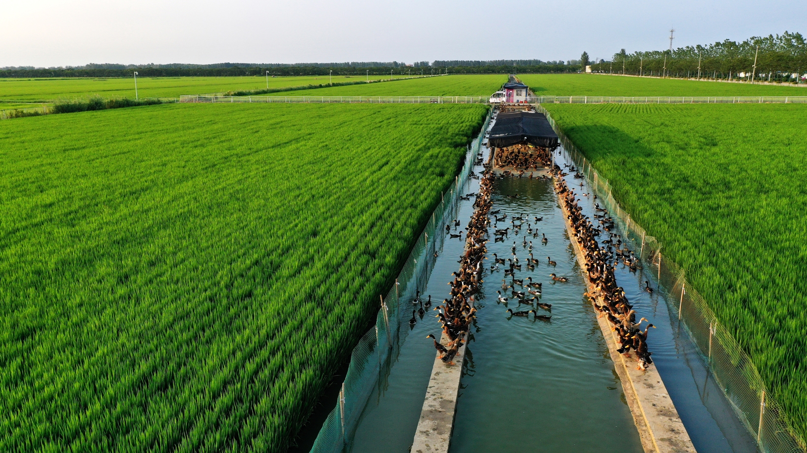 金狮贵宾会·宾至如归尊贵显赫(中国)官方网站