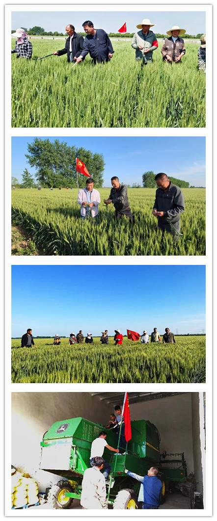 金狮贵宾会·宾至如归尊贵显赫(中国)官方网站