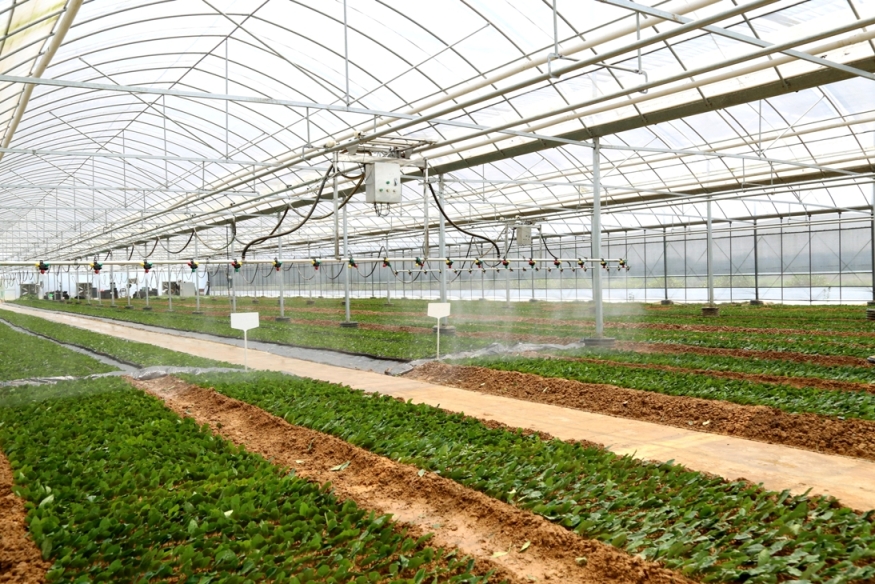 金狮贵宾会·宾至如归尊贵显赫(中国)官方网站