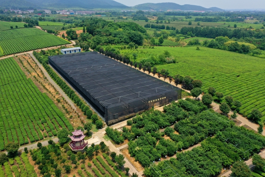 金狮贵宾会·宾至如归尊贵显赫(中国)官方网站