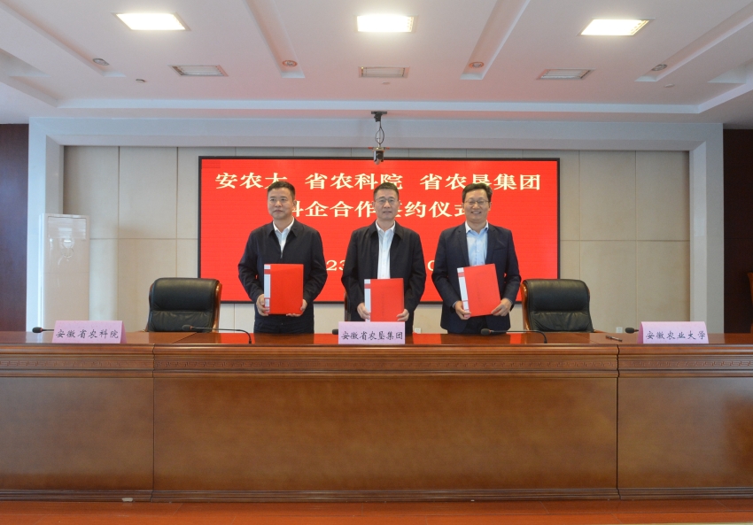 金狮贵宾会·宾至如归尊贵显赫(中国)官方网站