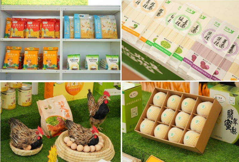 金狮贵宾会·宾至如归尊贵显赫(中国)官方网站