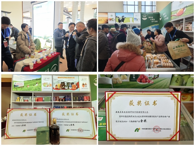 金狮贵宾会·宾至如归尊贵显赫(中国)官方网站