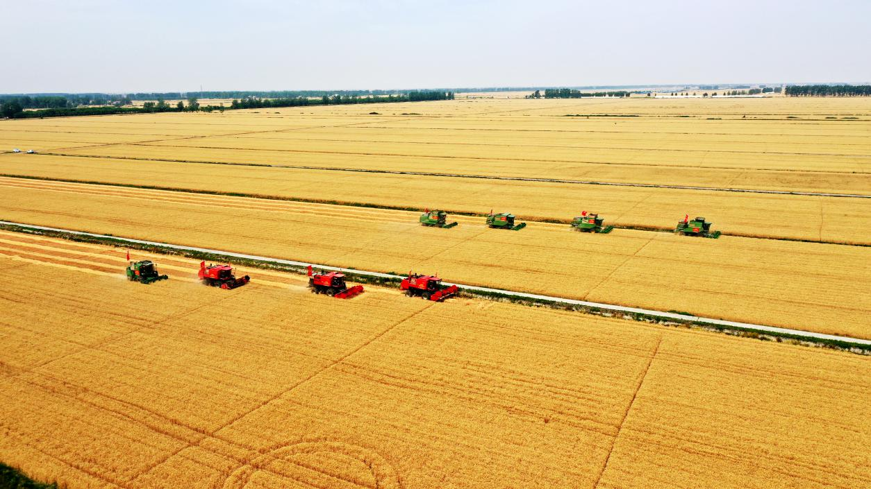 金狮贵宾会·宾至如归尊贵显赫(中国)官方网站