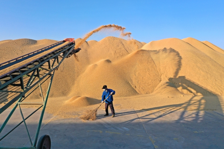 金狮贵宾会·宾至如归尊贵显赫(中国)官方网站