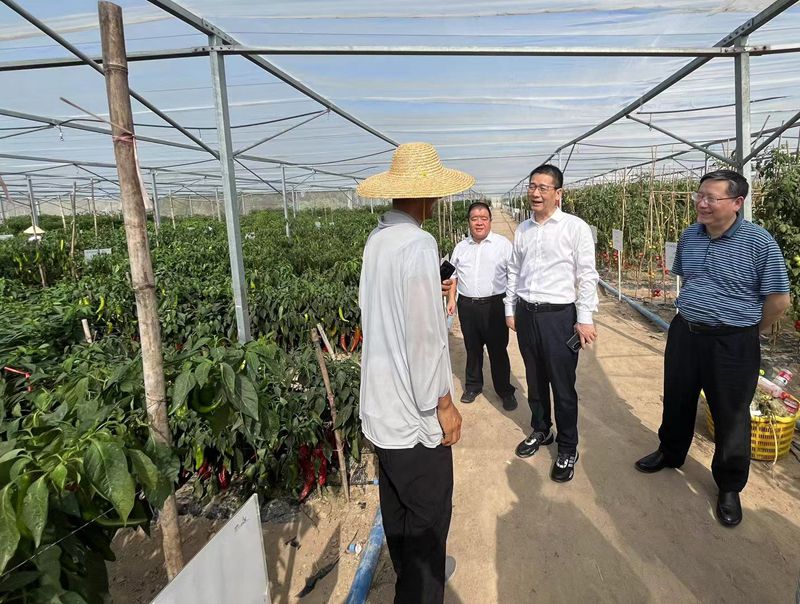 金狮贵宾会·宾至如归尊贵显赫(中国)官方网站