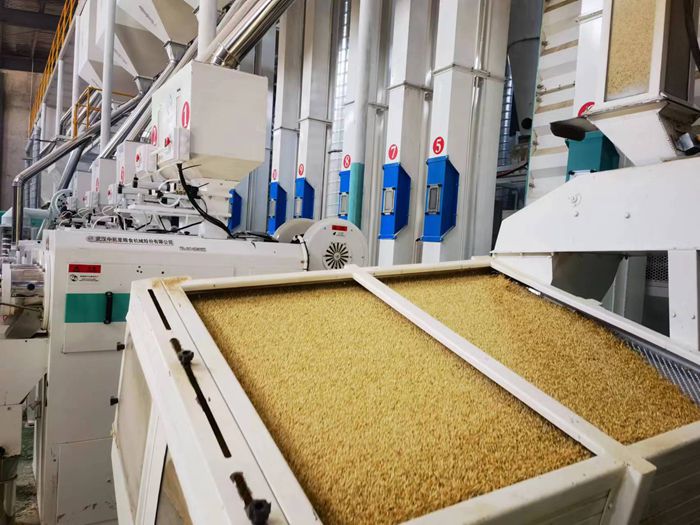 金狮贵宾会·宾至如归尊贵显赫(中国)官方网站