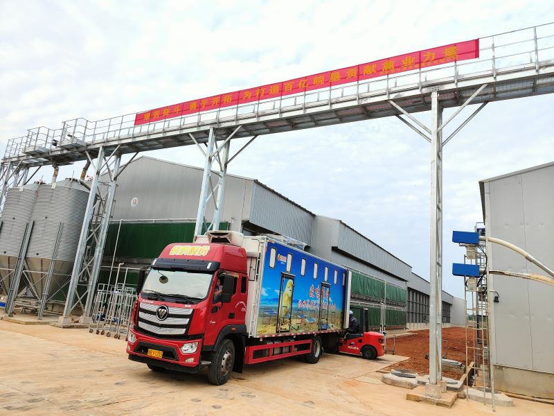 金狮贵宾会·宾至如归尊贵显赫(中国)官方网站