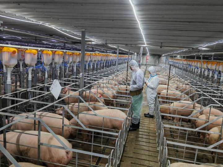 金狮贵宾会·宾至如归尊贵显赫(中国)官方网站