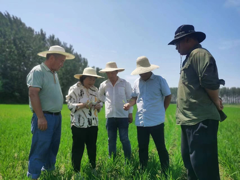 金狮贵宾会·宾至如归尊贵显赫(中国)官方网站