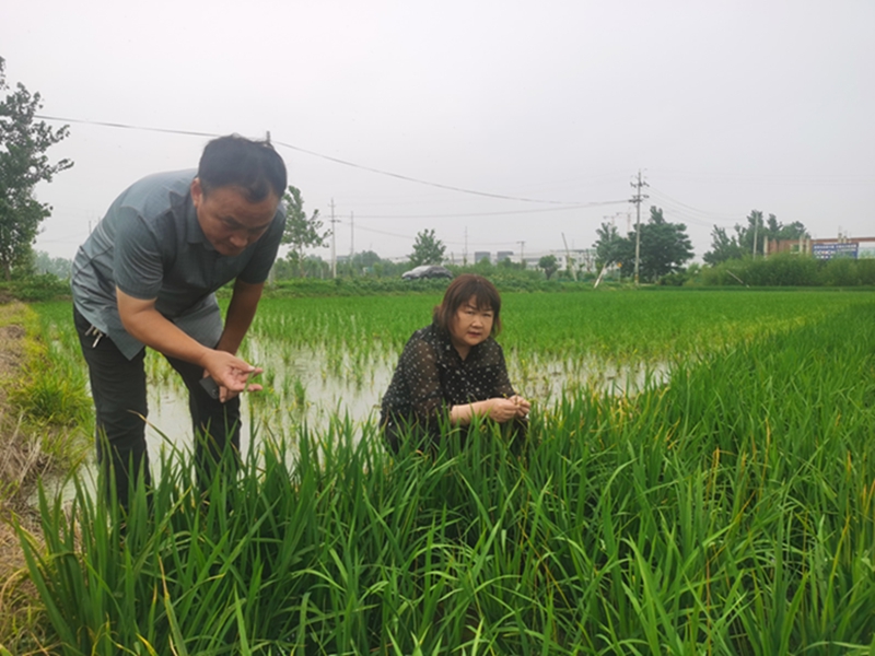 金狮贵宾会·宾至如归尊贵显赫(中国)官方网站