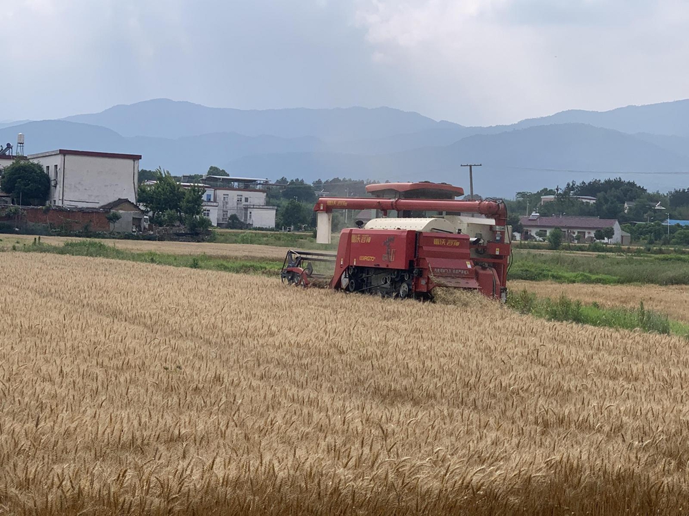 金狮贵宾会·宾至如归尊贵显赫(中国)官方网站