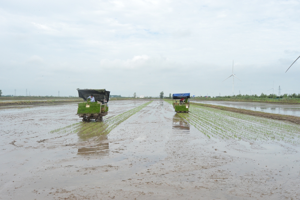 金狮贵宾会·宾至如归尊贵显赫(中国)官方网站