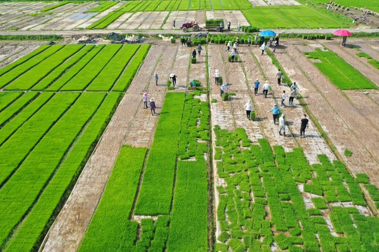 金狮贵宾会·宾至如归尊贵显赫(中国)官方网站