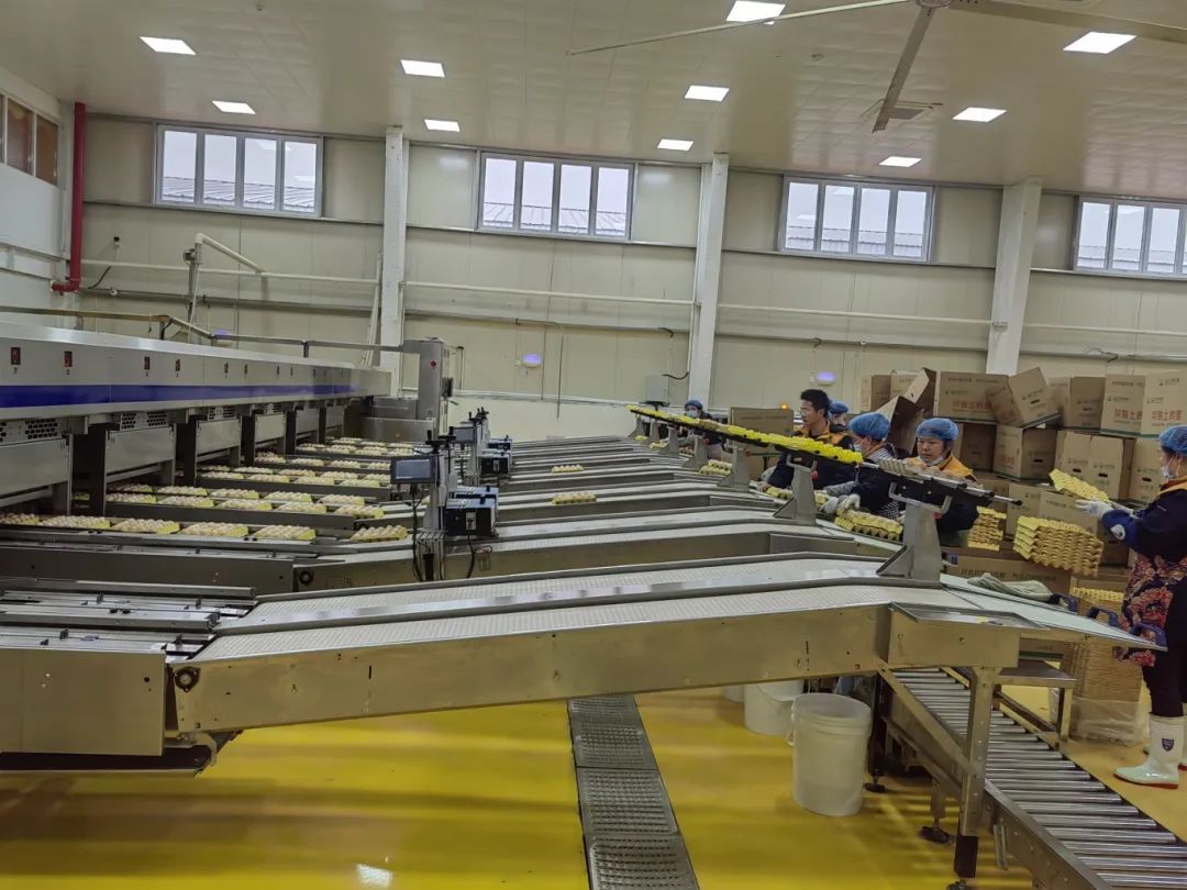 金狮贵宾会·宾至如归尊贵显赫(中国)官方网站