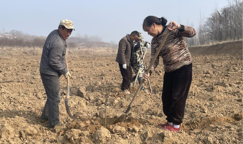 金狮贵宾会·宾至如归尊贵显赫(中国)官方网站