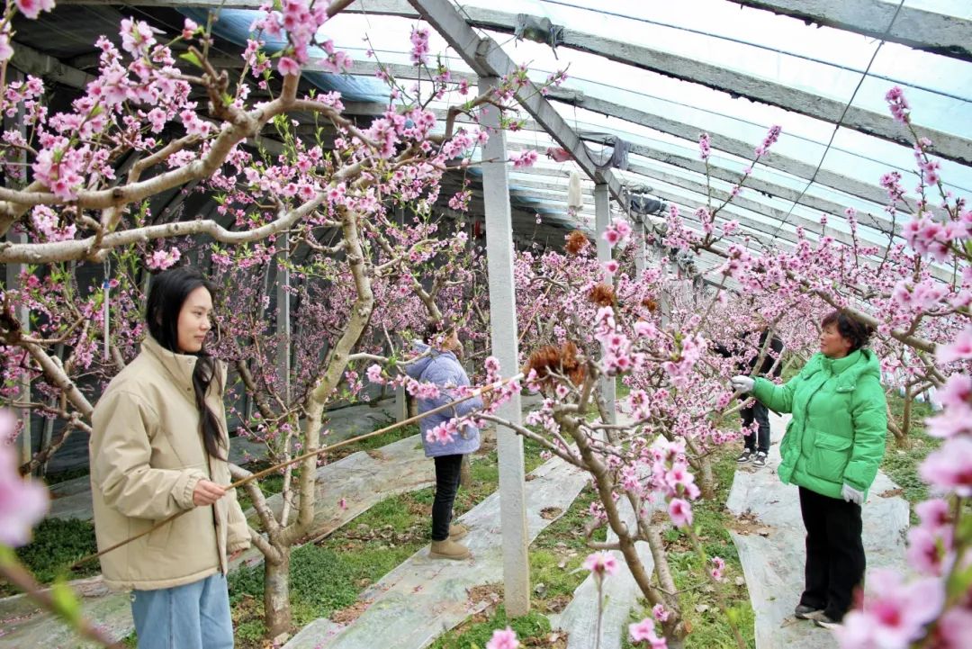 金狮贵宾会·宾至如归尊贵显赫(中国)官方网站