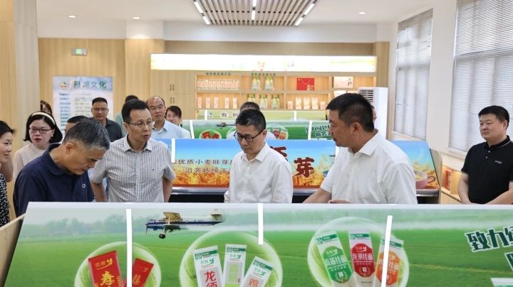 金狮贵宾会·宾至如归尊贵显赫(中国)官方网站