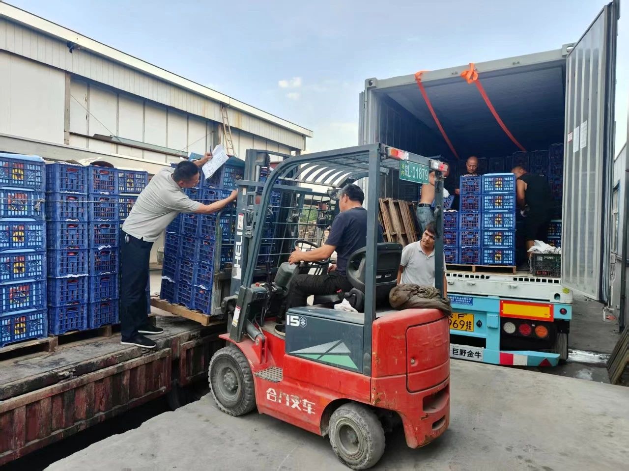 金狮贵宾会·宾至如归尊贵显赫(中国)官方网站