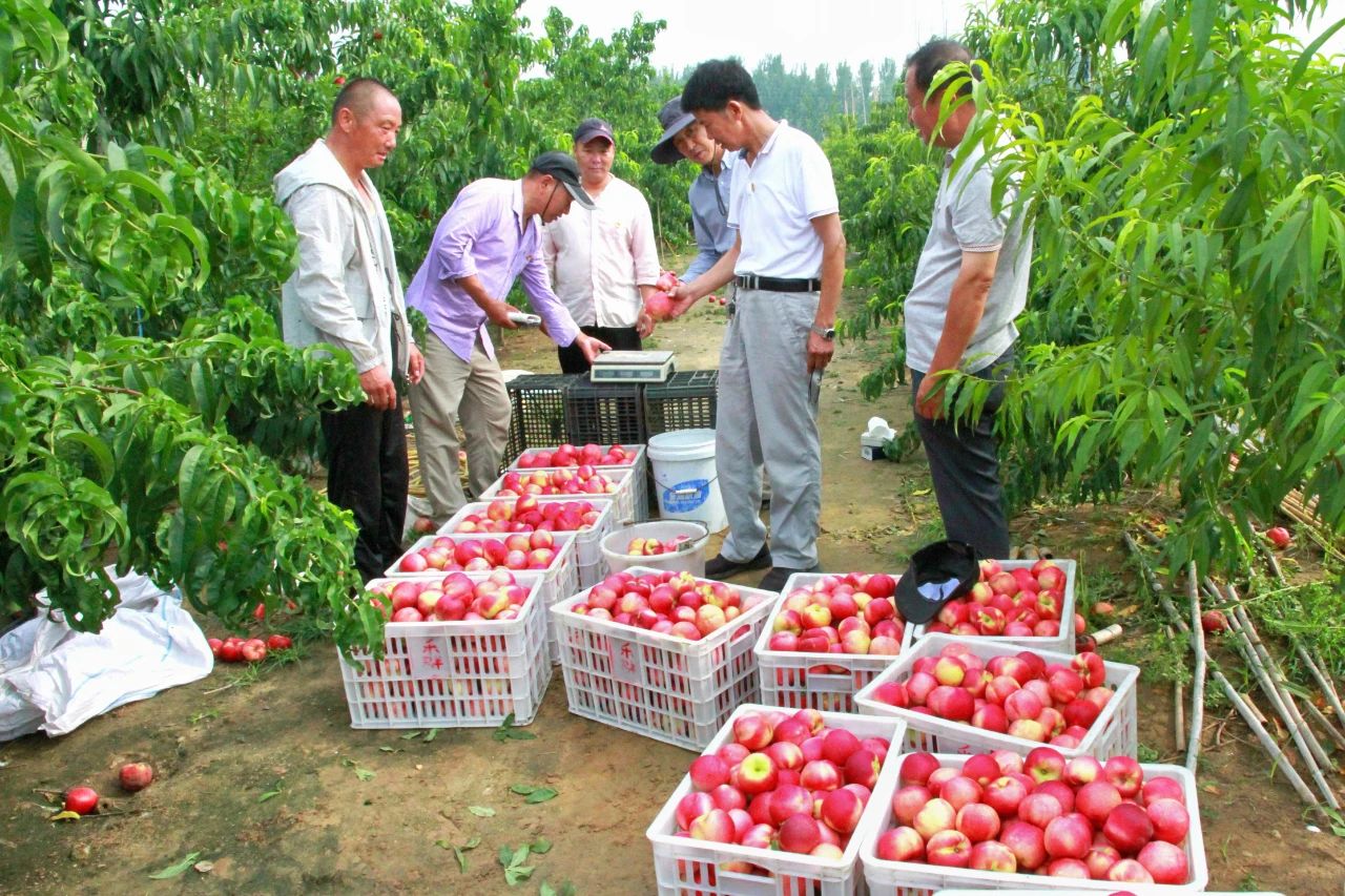 金狮贵宾会·宾至如归尊贵显赫(中国)官方网站