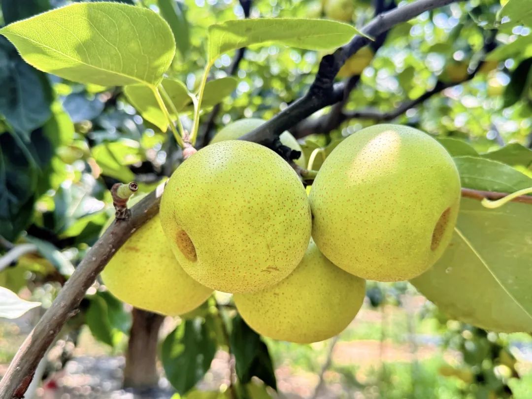 金狮贵宾会·宾至如归尊贵显赫(中国)官方网站