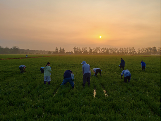 金狮贵宾会·宾至如归尊贵显赫(中国)官方网站