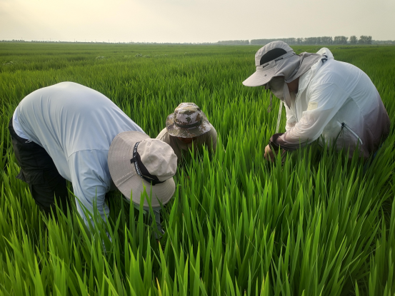 金狮贵宾会·宾至如归尊贵显赫(中国)官方网站