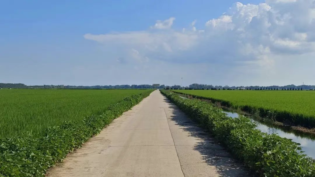 金狮贵宾会·宾至如归尊贵显赫(中国)官方网站