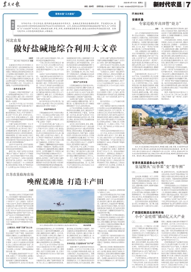 金狮贵宾会·宾至如归尊贵显赫(中国)官方网站