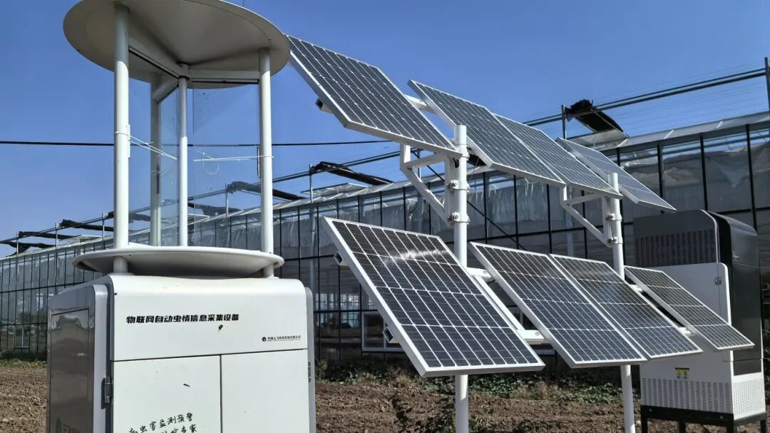 金狮贵宾会·宾至如归尊贵显赫(中国)官方网站