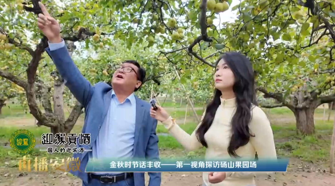 金狮贵宾会·宾至如归尊贵显赫(中国)官方网站