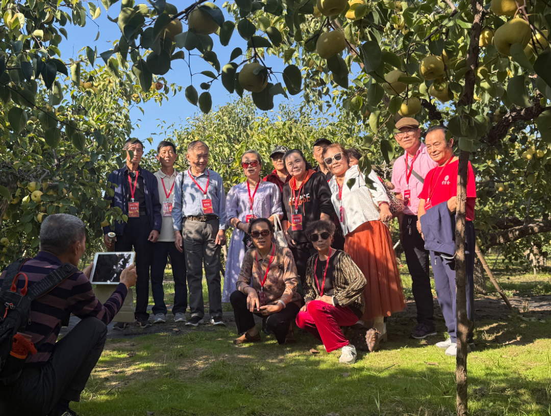 金狮贵宾会·宾至如归尊贵显赫(中国)官方网站