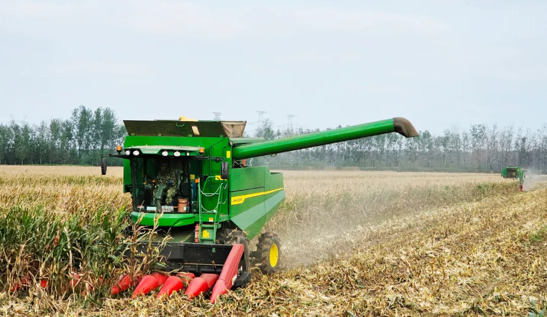 金狮贵宾会·宾至如归尊贵显赫(中国)官方网站